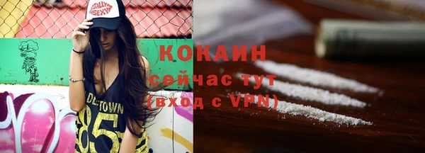 соль ск Алексин