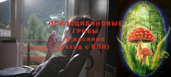 соль ск Алексин