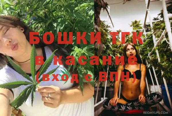 Альфа ПВП Магас