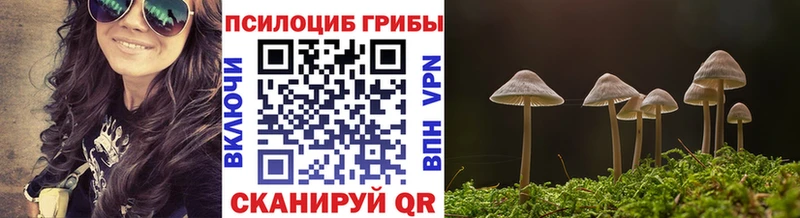 Галлюциногенные грибы мицелий  Сухиничи 